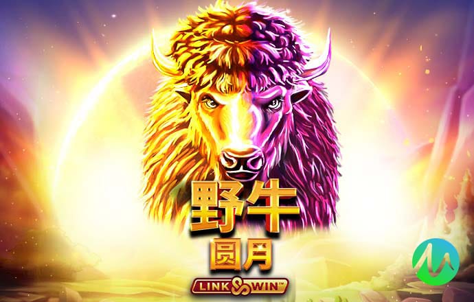星空无限传媒